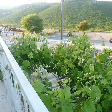 Kamenice Neum