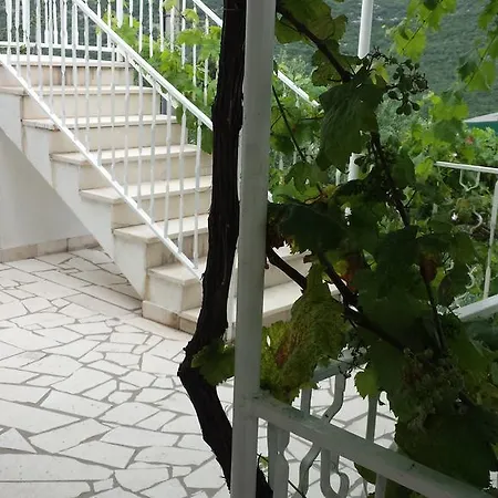 Apartment Kamenice Neum